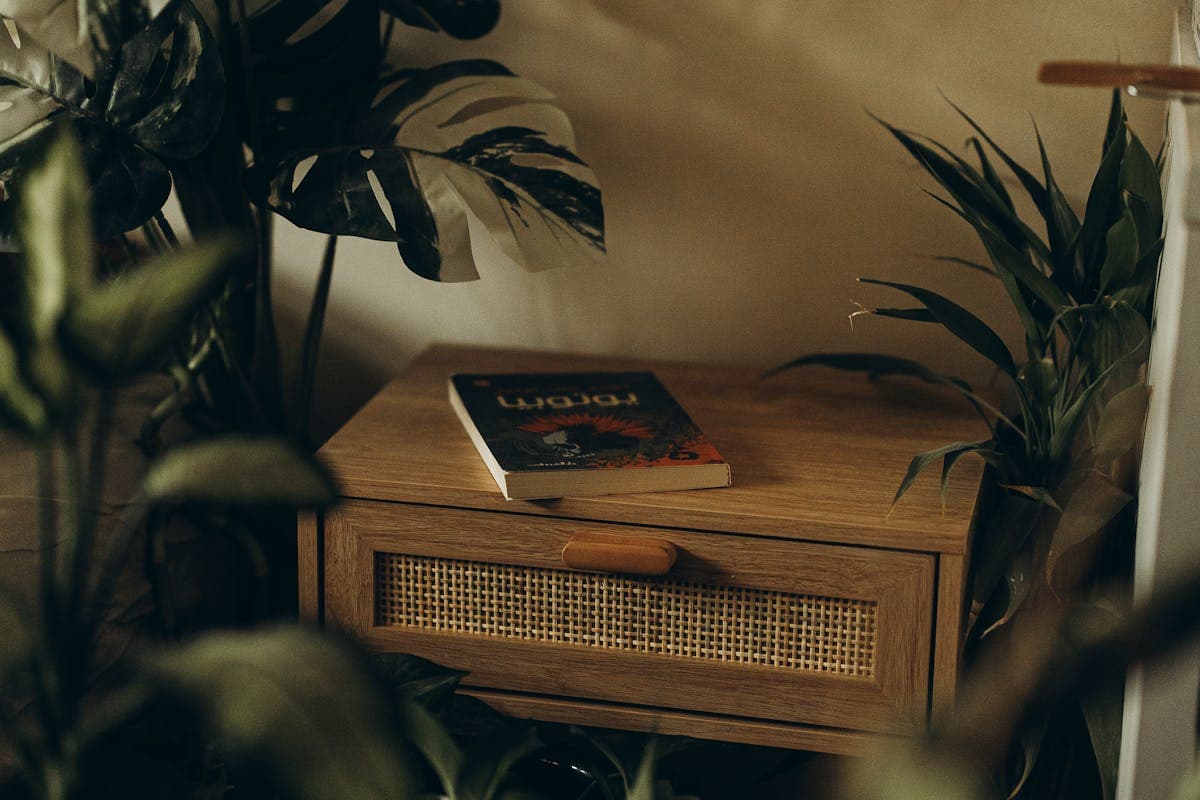 Chambre calme avec lumière tamisée, plantes vertes et tisane sur une table de nuit